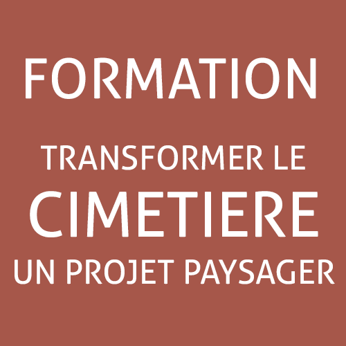 Formation cimetière