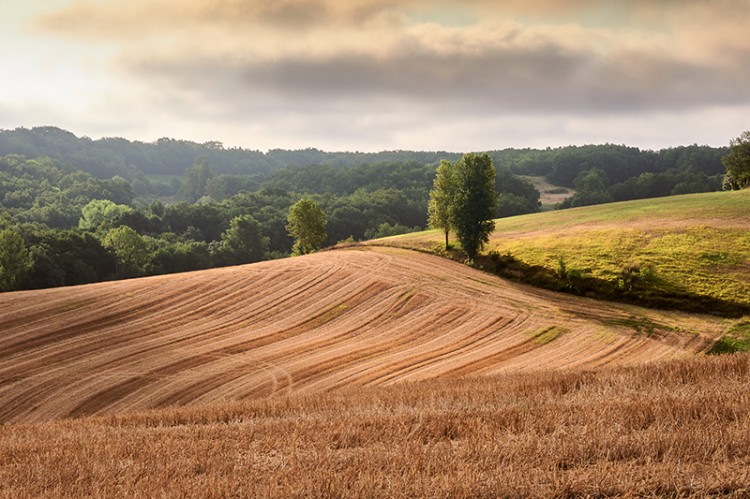 Dondas ma Toscane © Jean-Pierre Mazel